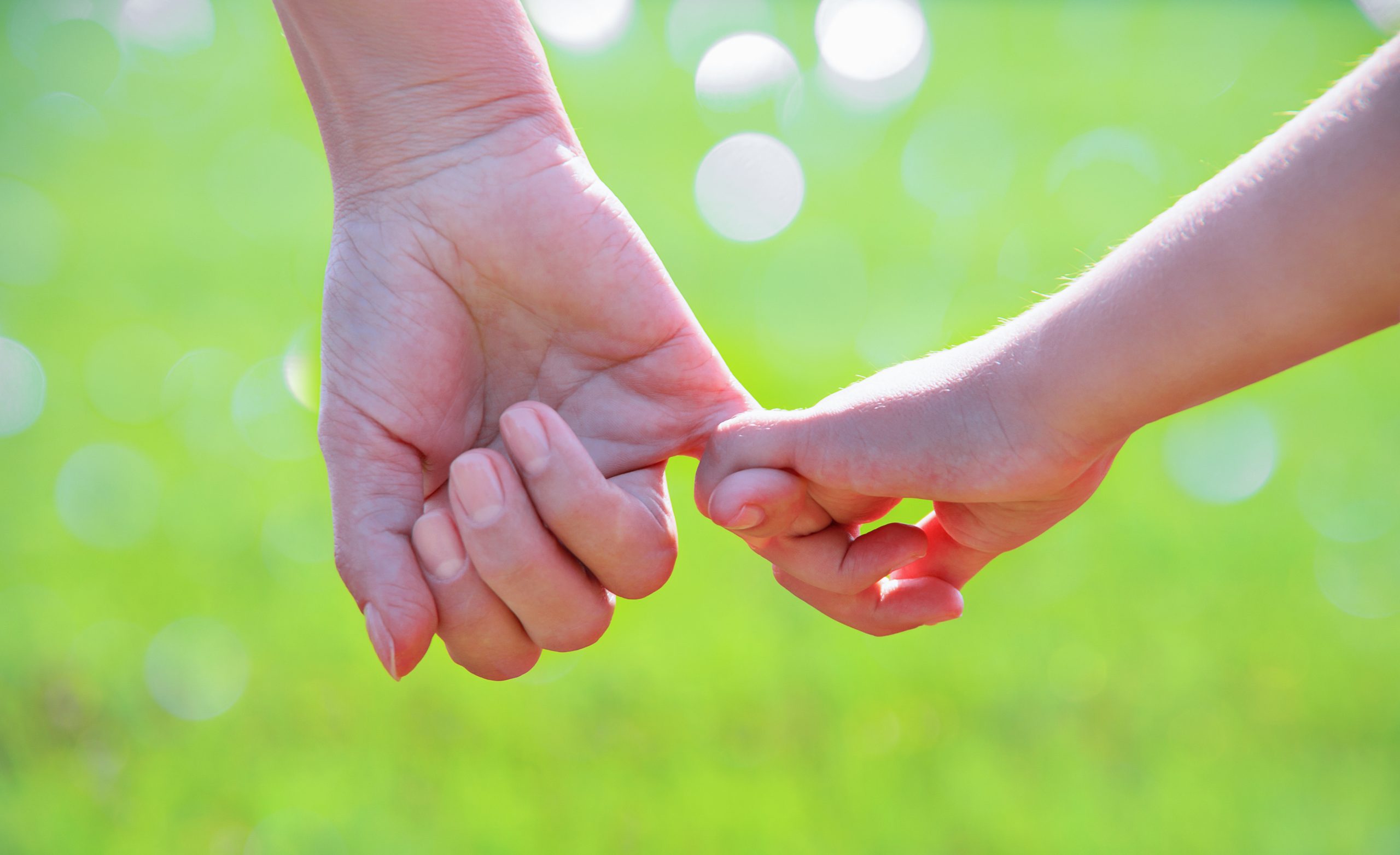 a parent holds the hand of a small child